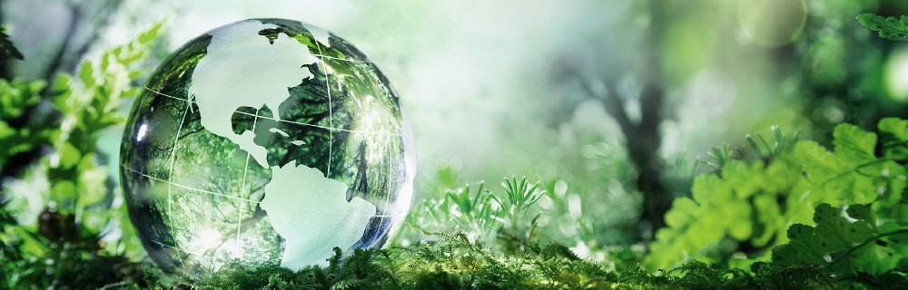 I. The Importance of Standardizing Enterprises to Protect the Environment