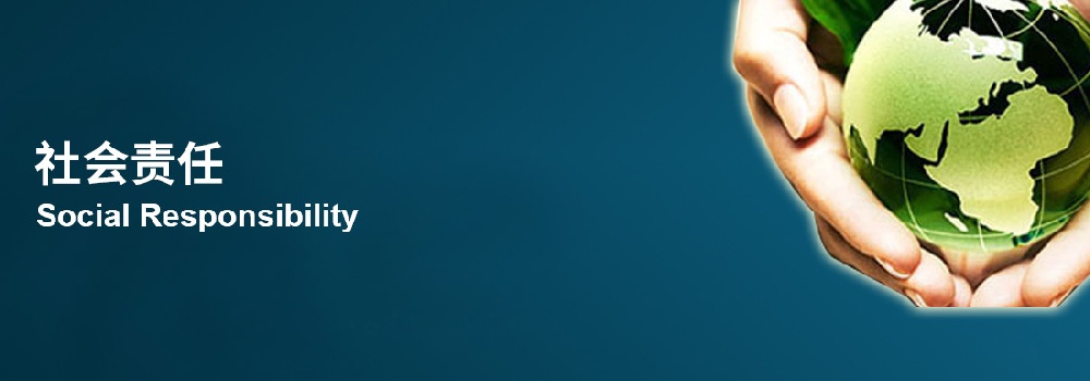 G. Legal Guarantee to Promote Chinese Enterprises to Take Environmental and Social Responsibilities