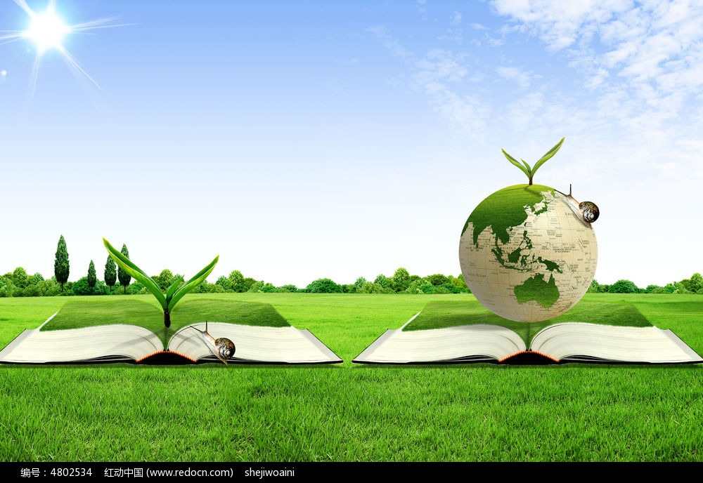 D. What is corporate social responsibility?