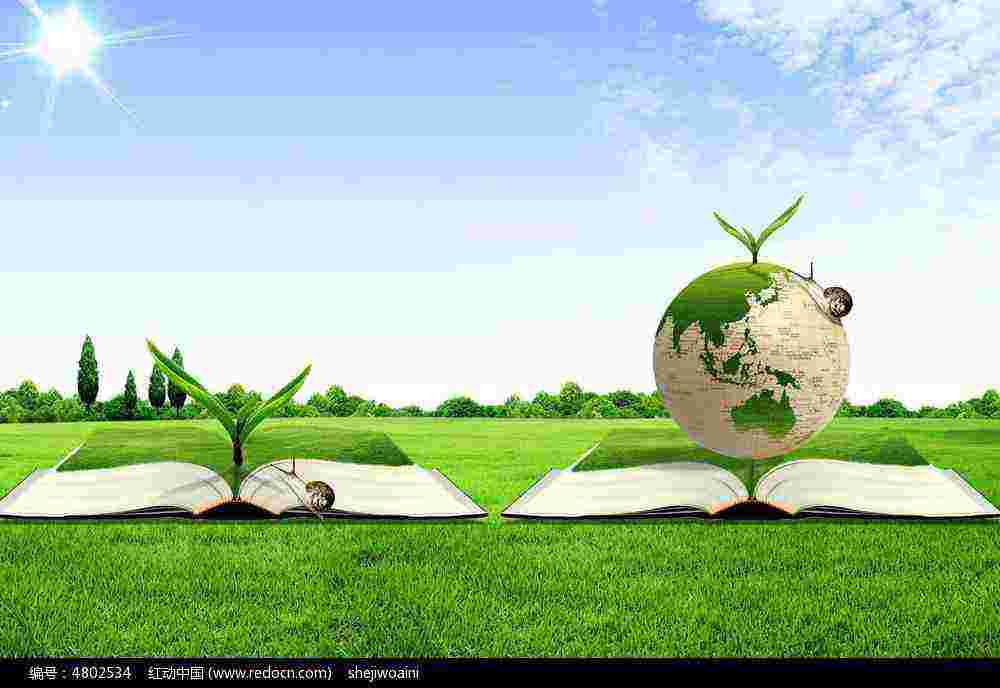 D. What is corporate social responsibility?
